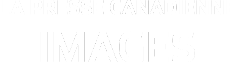 The page header's logo